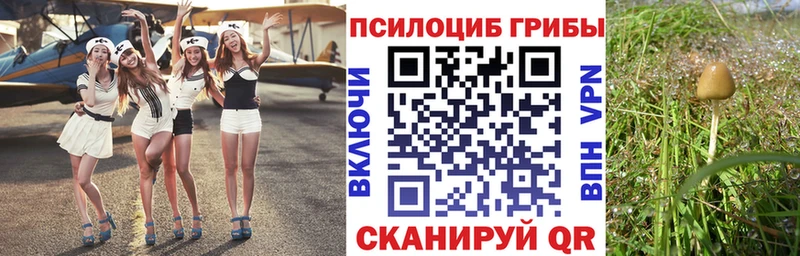 кракен маркетплейс  Алупка  Галлюциногенные грибы GOLDEN TEACHER 
